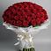 Букет 101 Красная роза Блэк Мэджик в Зыково