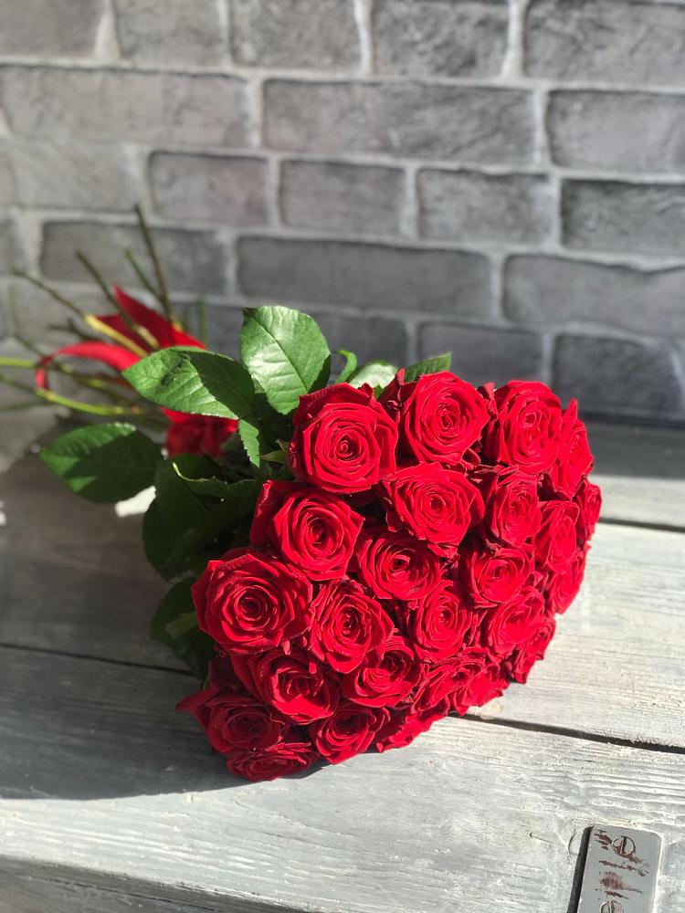 Букет Красные розы Фридом в Зыково