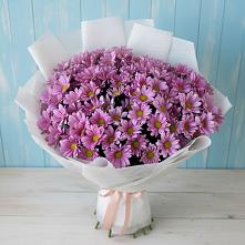 Букет цветов из:  Хризантемы в Зыково