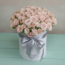 Цветочная композиция из Розы в шляпной коробке #REPLACE_PRED# Зыково