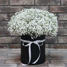 Цветочная композиция из Гипсофила в шляпной коробке в Зыково