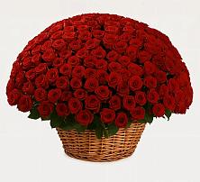 Премиум букет из: Розы в Зыково