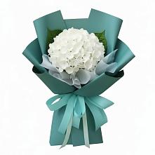 Букет цветов из:  Гортензия в Зыково